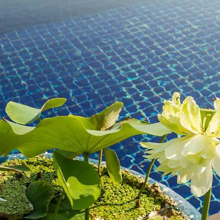 Villa Alpha - Seaview Private Villa Choeng Mon Eksteriør bilde